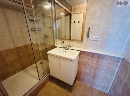 Pronájem bytu, 2+kk, 43,8 m²