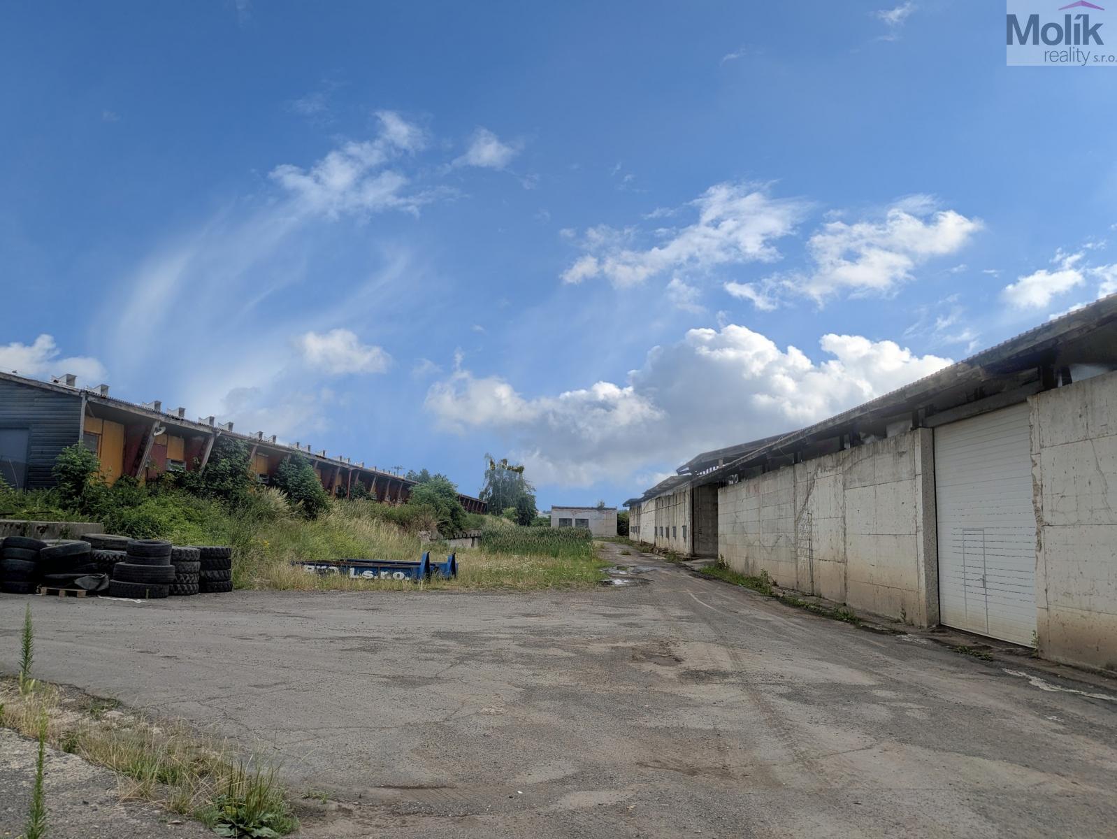 PXL_20260630_073830184.MP.jpg
