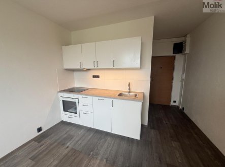 Pronájem bytu, 1+1, 35 m²