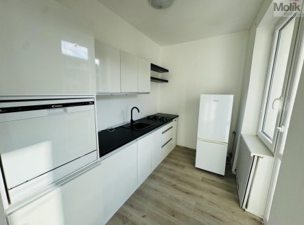 Pronájem bytu, 1+1, 31,1 m²