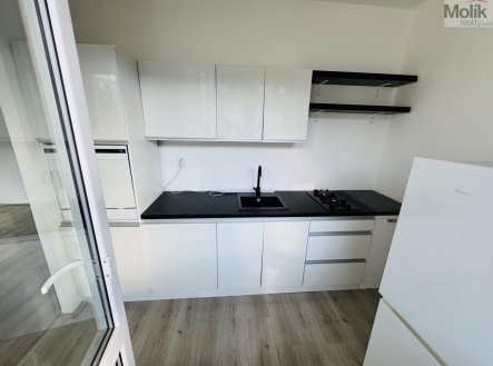 Pronájem bytu, 1+1, 31,1 m²