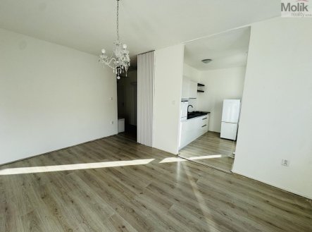 Pronájem bytu, 1+1, 31,1 m²