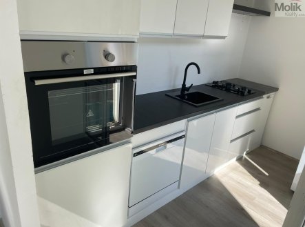 Pronájem bytu, 1+1, 31,1 m²