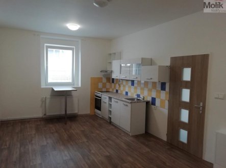 Pronájem bytu, 3+kk, 65 m²