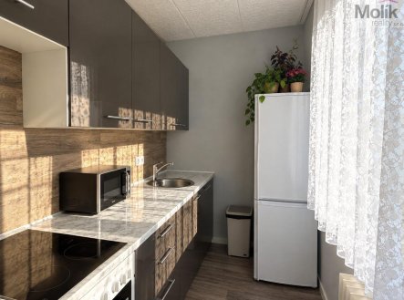 Pronájem bytu, 1+1, 26 m²
