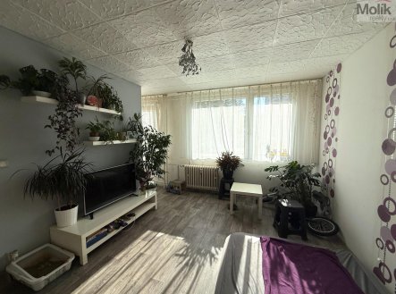Pronájem bytu, 1+1, 26 m²