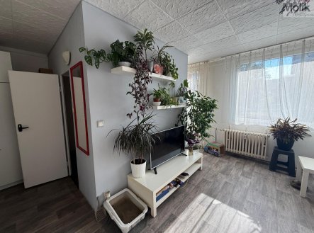 Pronájem bytu, 1+1, 26 m²