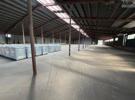 Pronájem skladu, 900 m²