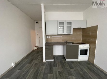 Prodej bytu, 1+kk, 21 m²