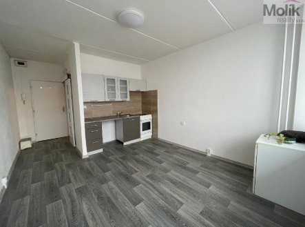 Prodej bytu, 1+kk, 21 m²