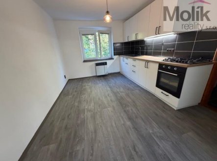 Pronájem bytu, 2+1, 54 m²