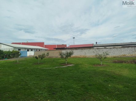 Prodej pozemku pro bydlení, 3 916 m²