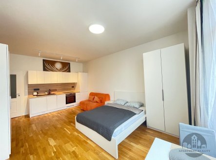 Pronájem bytu, 1+kk, 34 m²