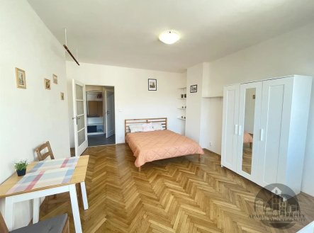 Pronájem bytu, 1+1, 29 m²