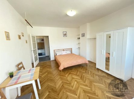 Pronájem bytu, 1+1, 29 m²