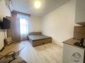Pronájem bytu, 1+kk, 24 m²