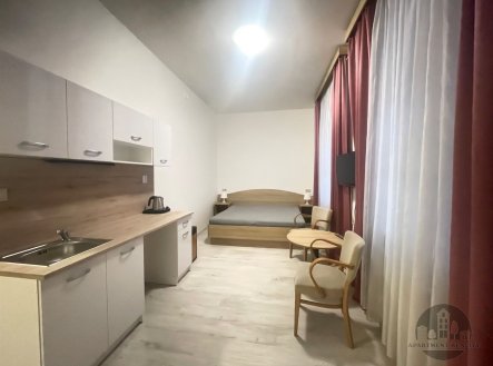 Pronájem bytu, 1+kk, 26 m²