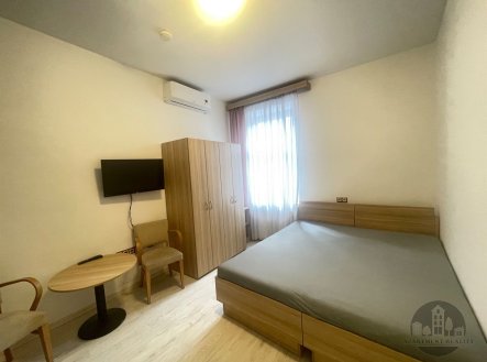 Pronájem bytu, 1+kk, 24 m²