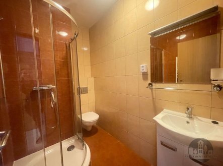 Pronájem bytu, 1+kk, 24 m²