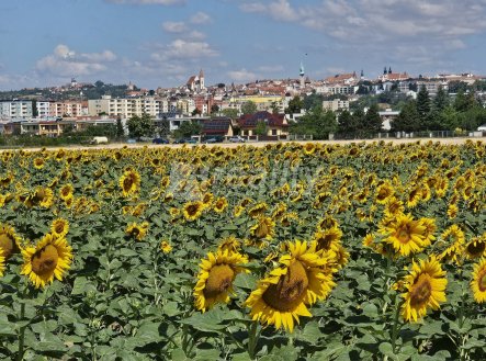 Prodej pozemku pro bydlení, 790 m²