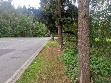 Prodej pozemku pro bydlení, 3 376 m²