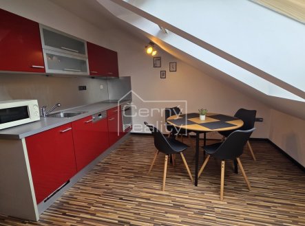 Pronájem bytu, 1+kk, 50 m²
