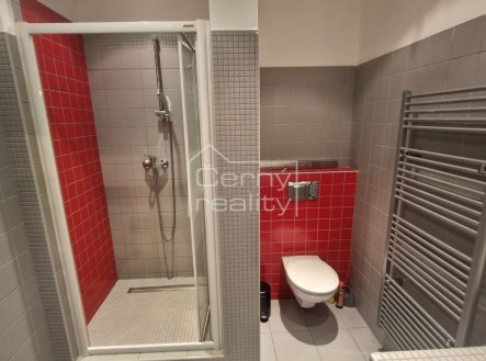Pronájem bytu, 1+kk, 50 m²