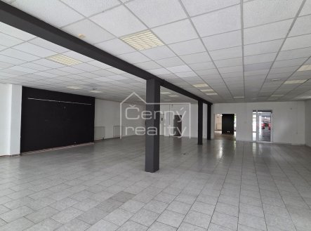 Pronájem obchodní prostory, 110 m²