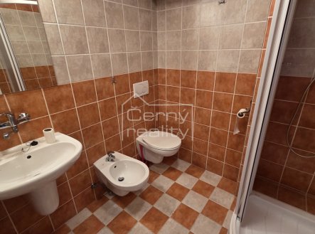 Pronájem kanceláře, 160 m²