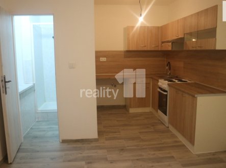 Pronájem bytu, 1+1, 55 m²
