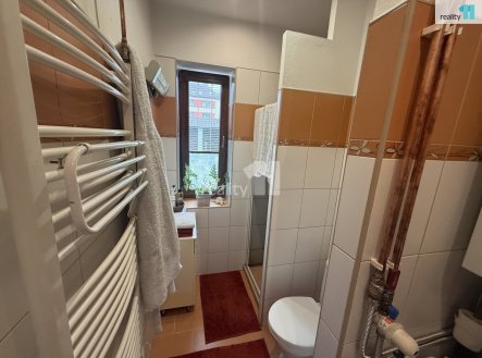 Pronájem bytu, 1+kk, 33 m²