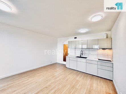 Pronájem bytu, 1+kk, 41 m²