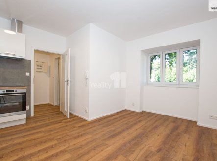 Pronájem bytu, 1+kk, 25 m²