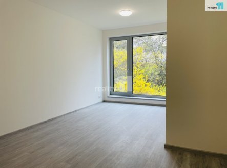 Pronájem bytu, 2+kk, 59 m²