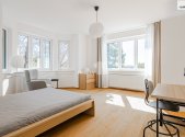 Pronájem bytu, jiný, 25 m²