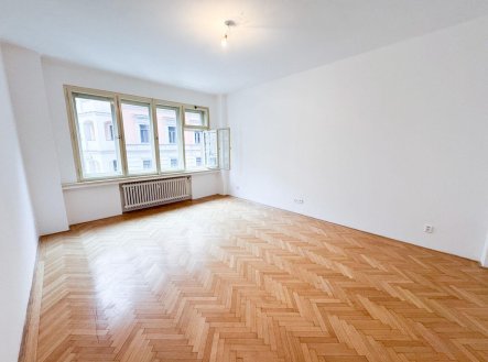 Pronájem bytu, 1+1, 56 m²