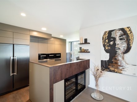 Prodej bytu, 5+kk, 317 m²