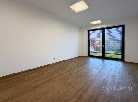 Pronájem domu/vily, 299 m²