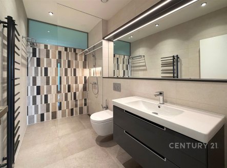 Pronájem domu/vily, 299 m²