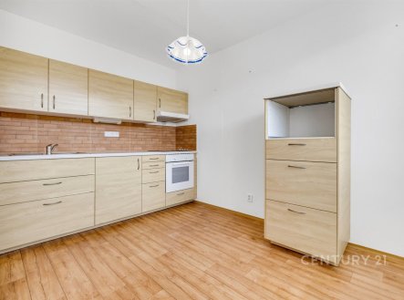 Prodej bytu, 4+1, 67 m²