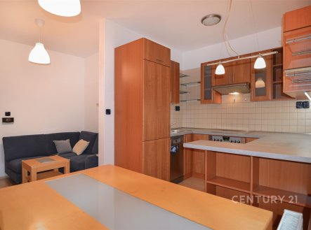 Pronájem bytu, 2+kk, 46 m²