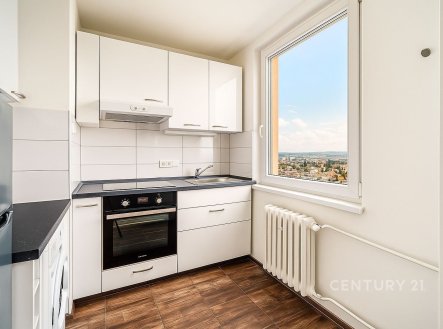 Pronájem bytu, 1+1, 30 m²