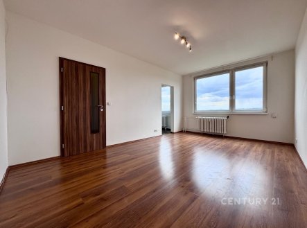 Pronájem bytu, 1+1, 30 m²
