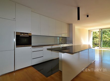 Pronájem bytu, 4+kk, 169 m²