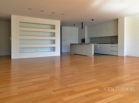 Pronájem bytu, 4+kk, 169 m²