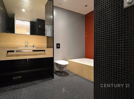 Pronájem bytu, 4+kk, 169 m²