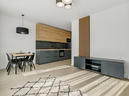 Pronájem bytu, 2+kk, 51 m²
