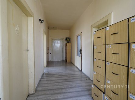 Pronájem domu/vily, 220 m²
