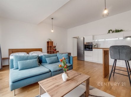 Pronájem bytu, 1+kk, 43 m²