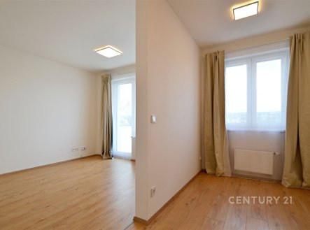Pronájem bytu, 1+kk, 31 m²